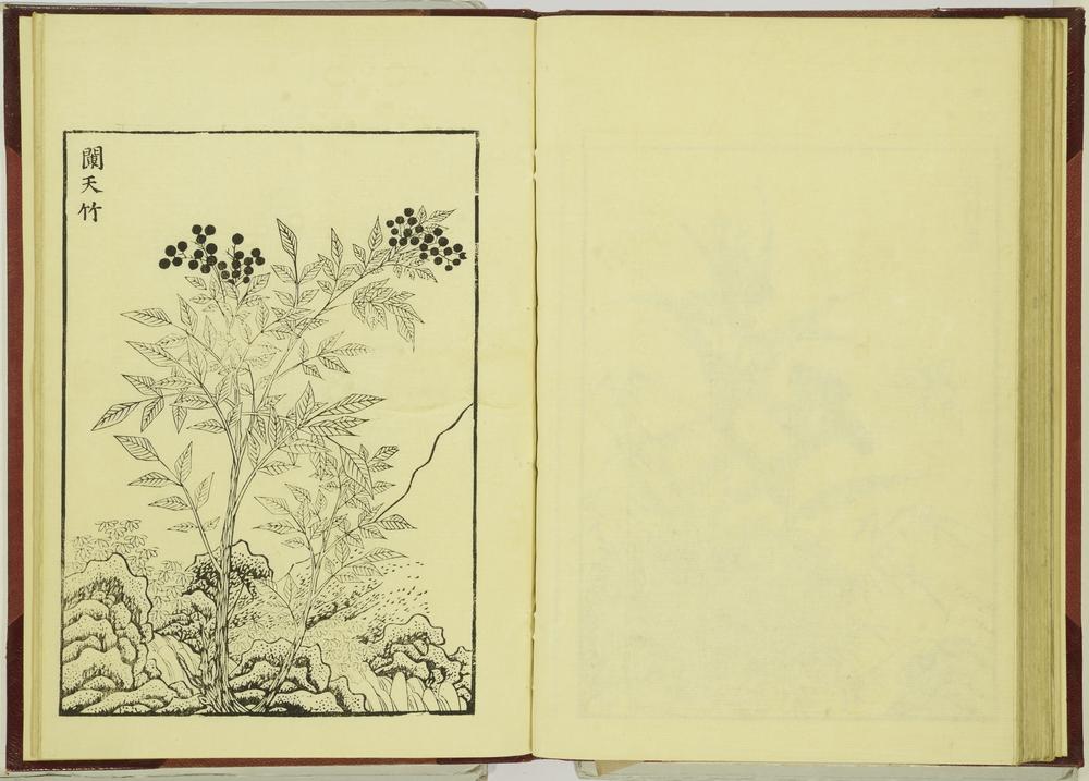 图片[47]-illustrated book; print BM-1915-0823-0.242-China Archive